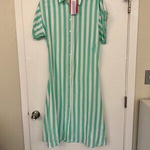 NWT Never a Wallflower Maxi Shirt Dress Vertical Green Stripe Small Linen Blend